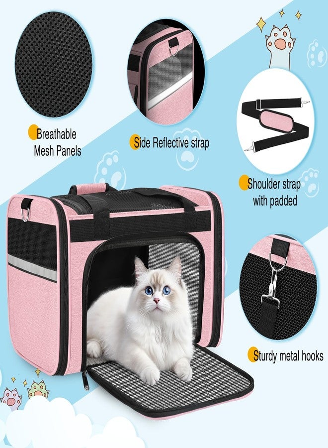 HUANLANG Soft-Sided Cat Carrier Airline Approved,Dog Carriers for Small Dogs Medium Cats,Pet Travel Carrier Up to 20 Lbs,Collapsible Cat Bag - Image 3